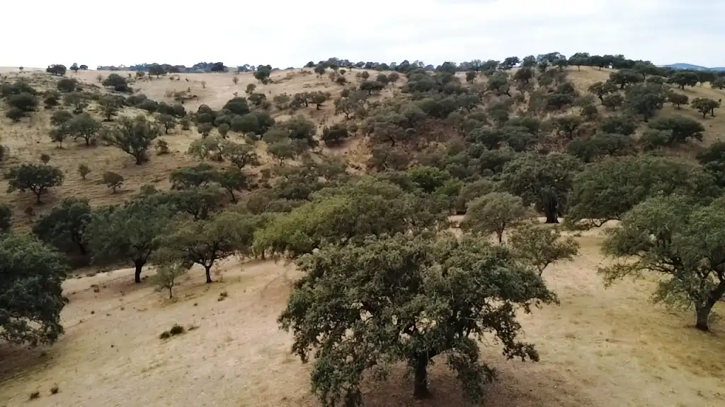 Grundstücke zum Verkauf in El Cerro de Andévalo