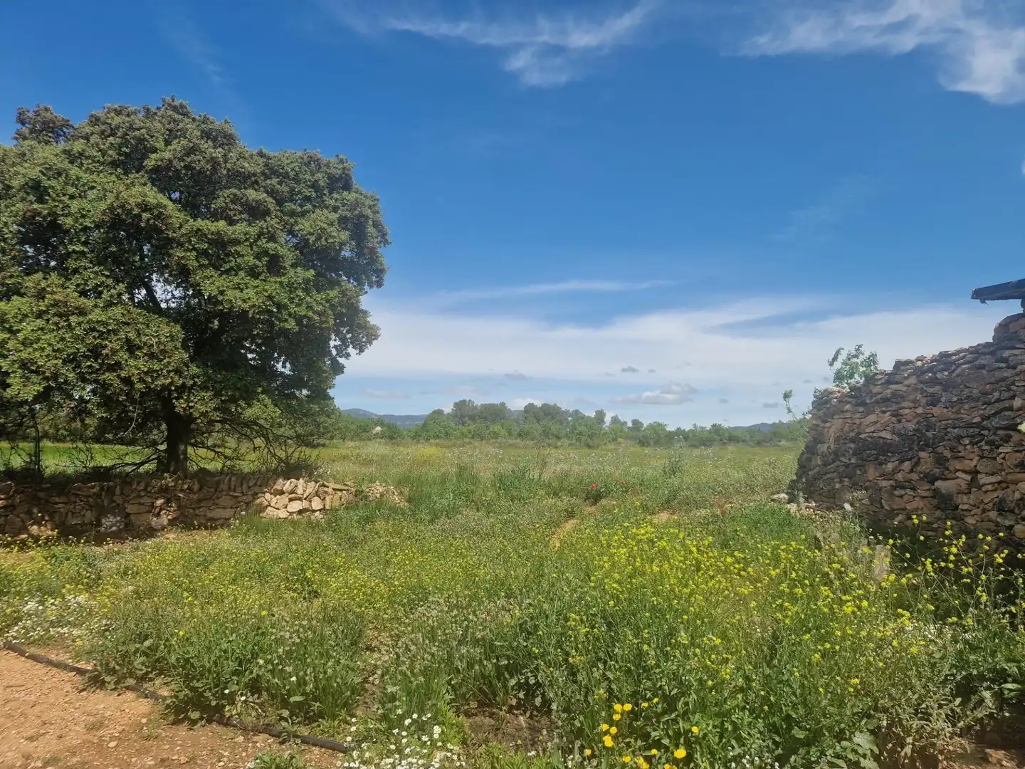 Terreno rustico in vendita a Valls, imagen 9