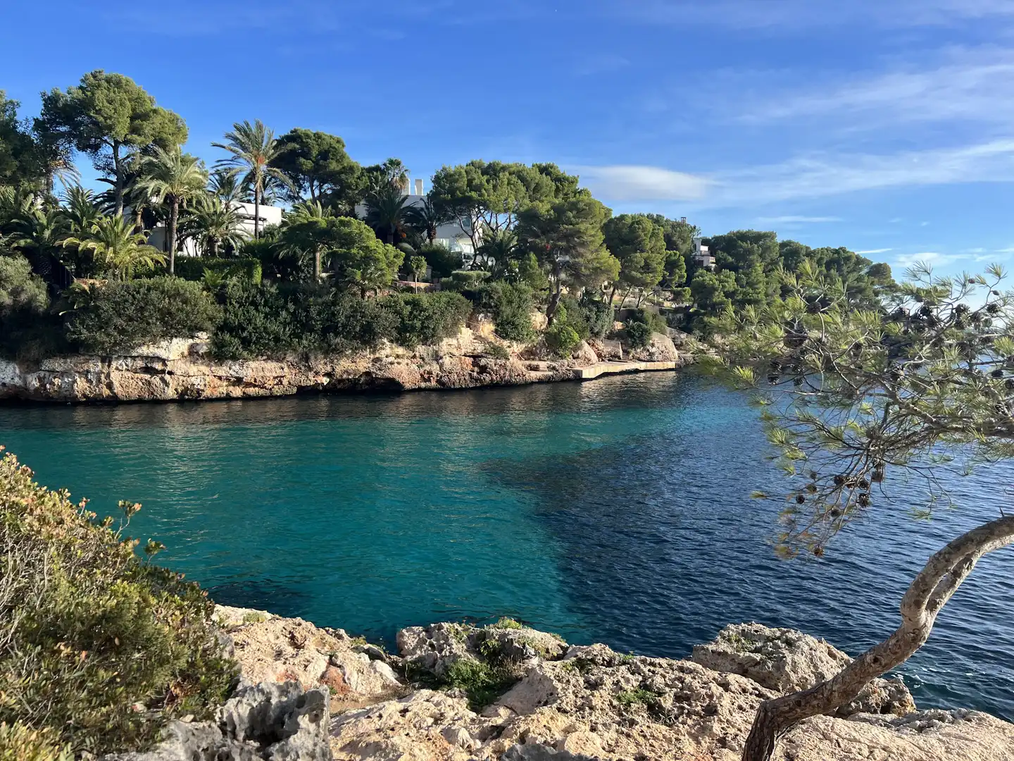 Local comercial en venta en Portocolom, imagen 32