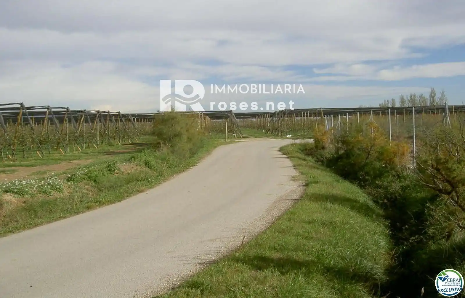 Rural land for sale in cortal vell, imagen 13