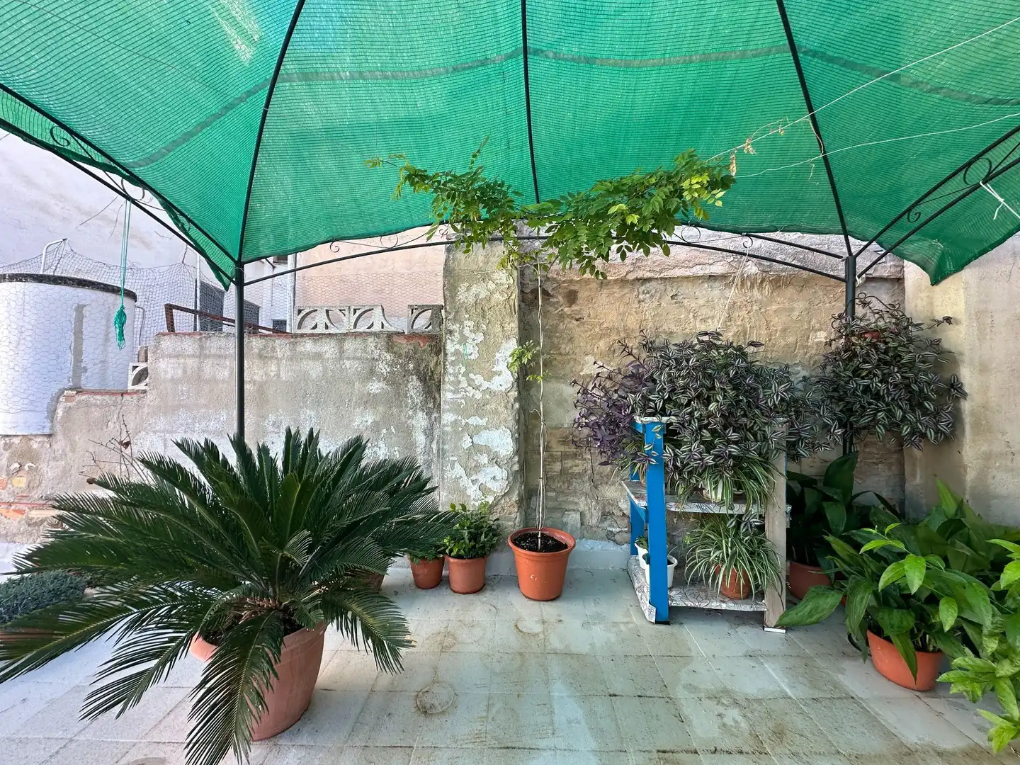 Country house for sale in Centro, imagen 29