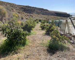 Finca rústica en venda en Salobreña