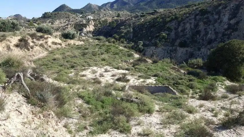Finca rústica en venta en Ricote