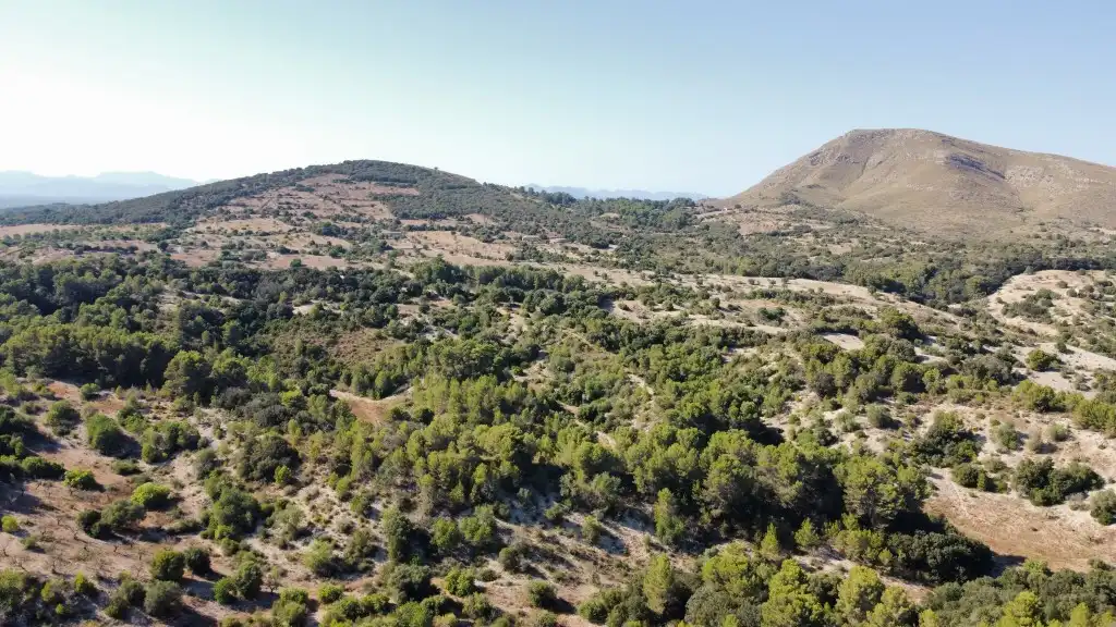 Country house for sale in Sant Llorenç des Cardassar, imagen 10