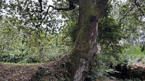 Foto 4 von Country house zum Verkauf in Lugar Abeladal, 7, O Vicedo , Lugo