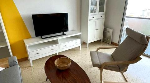 Photo 4 of Flat for rent in Botánico, San Antonio - Las Arenas, Puerto de la Cruz