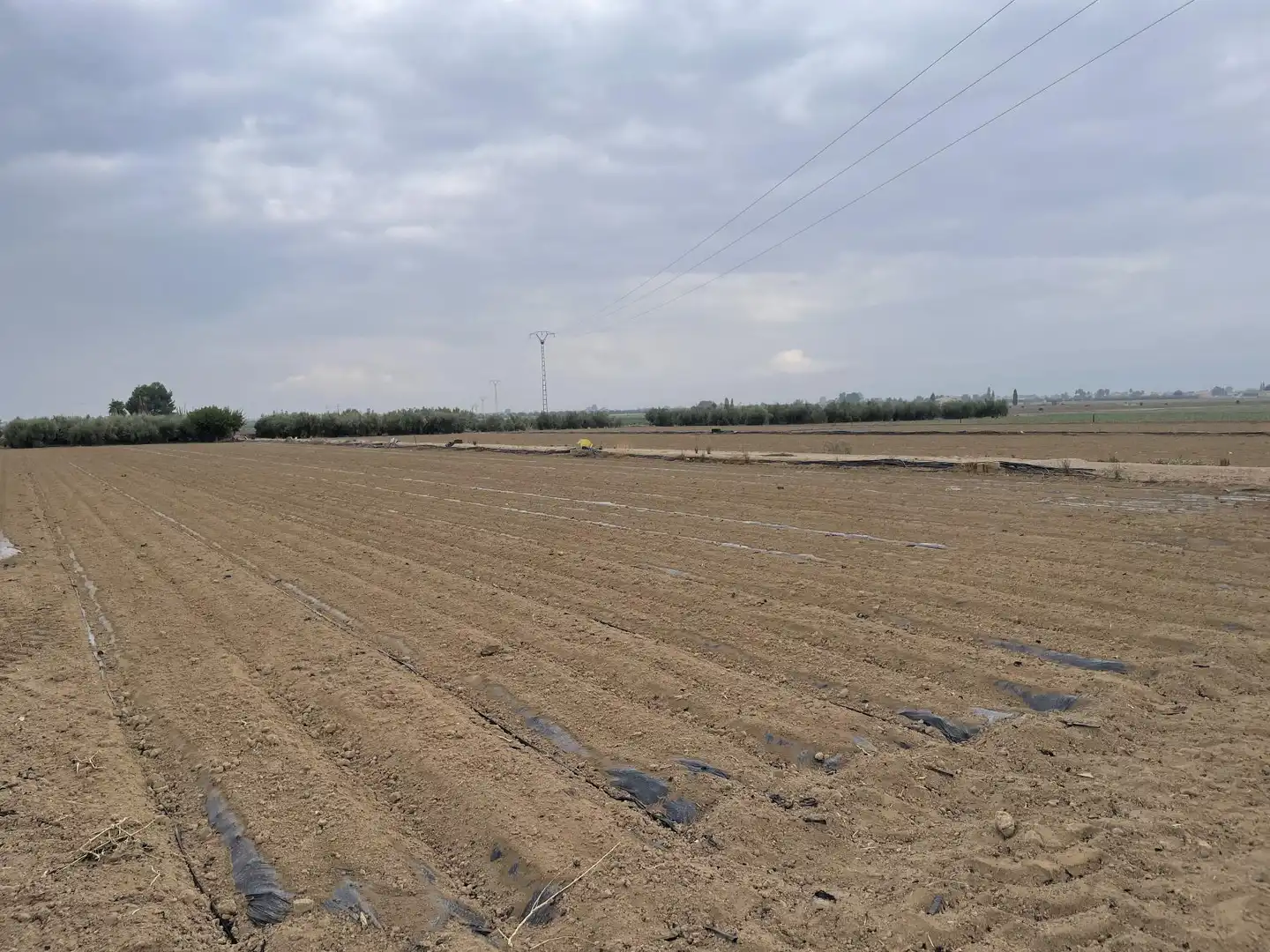 Lands and plots for sale in de Bodega, imagen 7