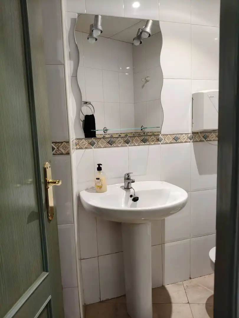 Bathroom of Commercial properties for rent in Campanar