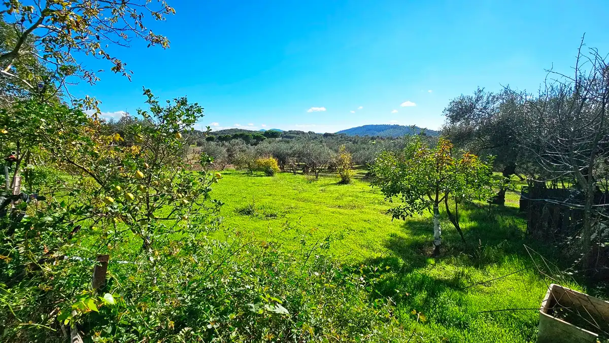 Casa rústica amb jardí en venda a Aracena, imagen 8