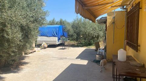 Foto 2 de Finca rústica en venda a Pago del Miércoles, Gójar, Granada