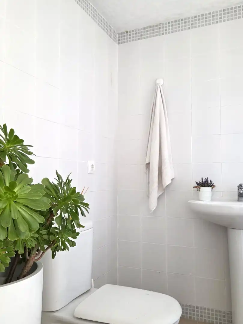 Bathroom of Duplexes for sale in Roquetas de Mar  with Terrace