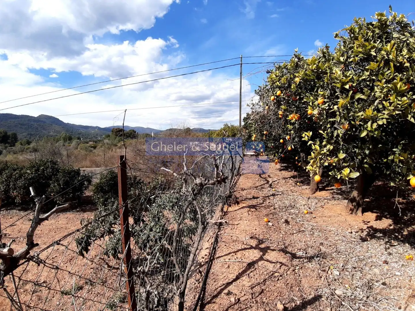 Casa o chalet en venta en Albalat dels Tarongers con Terraza