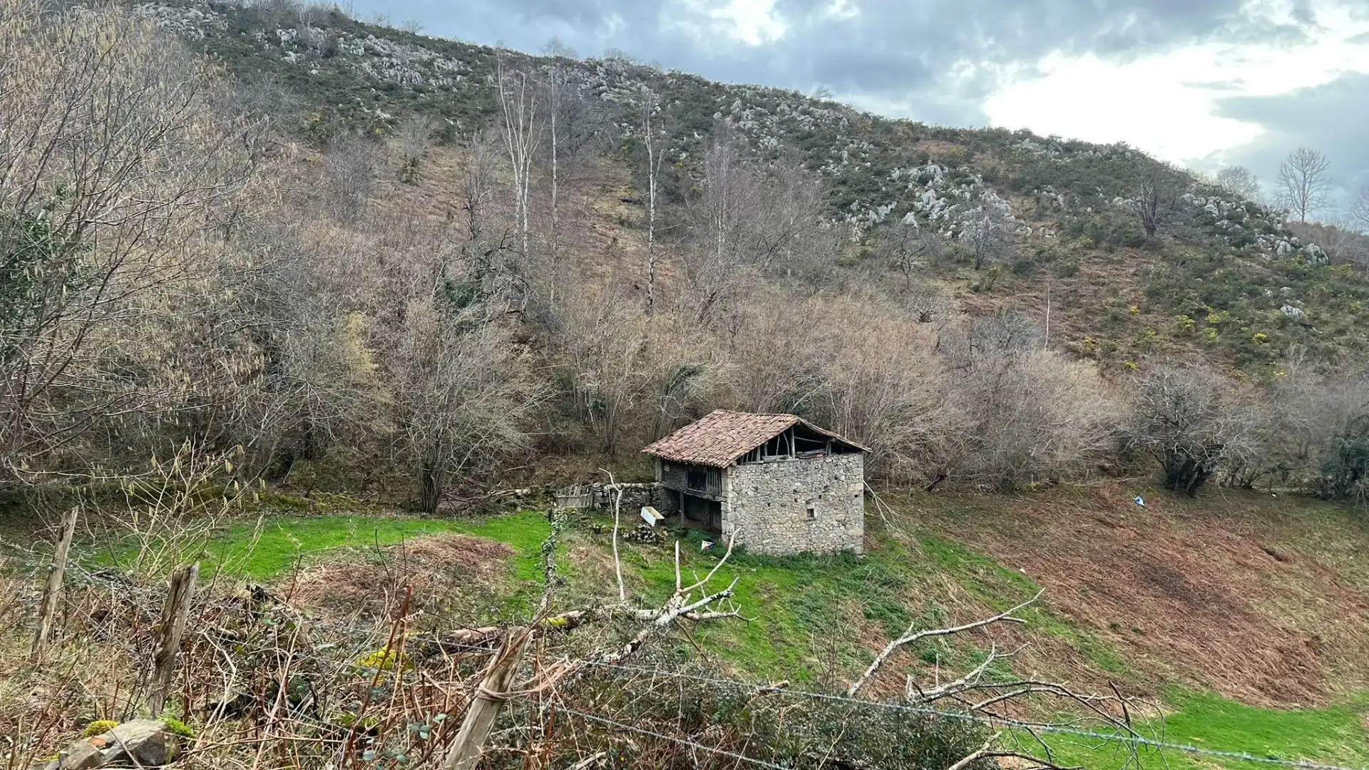 Terreno rustico in vendita a Cangas de Onís, imagen 4