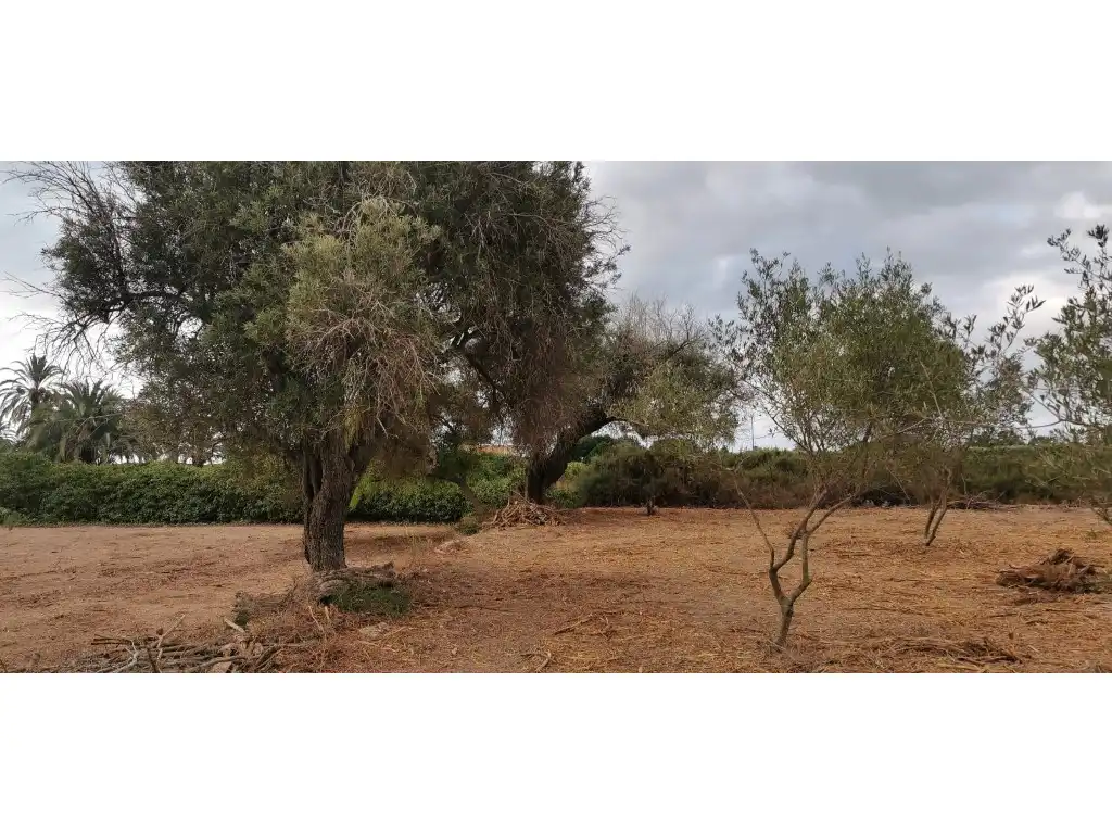 Terreno residencial en venta en La Marina, imagen 10