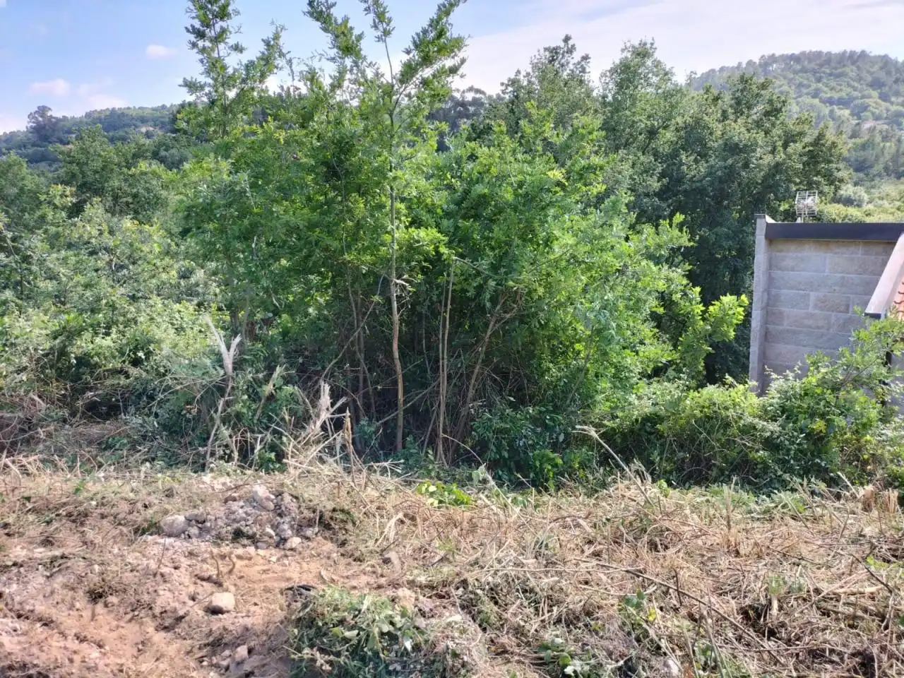 Terreni e lotti in vendita a O Pereiro de Aguiar, imagen 3