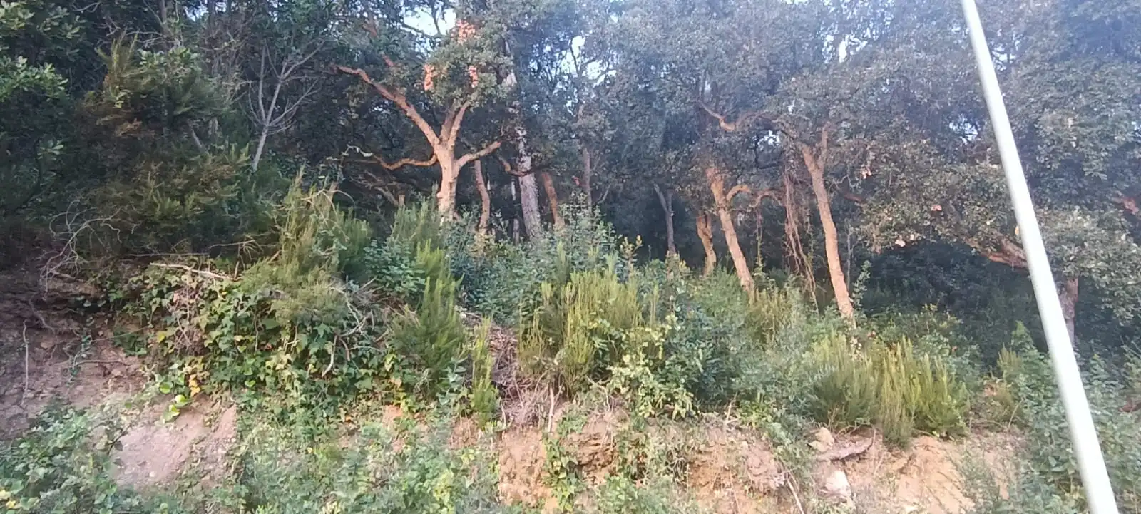 Terreno residencial en venta en Palafolls, imagen 3