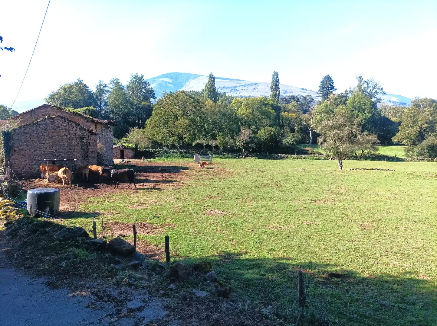 Jardín de Casa o chalet en venta en Arenas de Iguña con Jardín privado