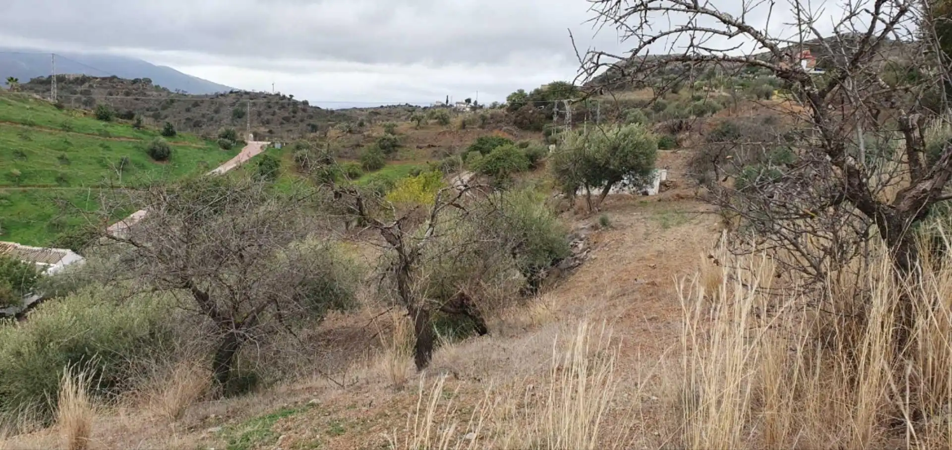 Terreni e lotti in vendita a Cártama pueblo, imagen 22