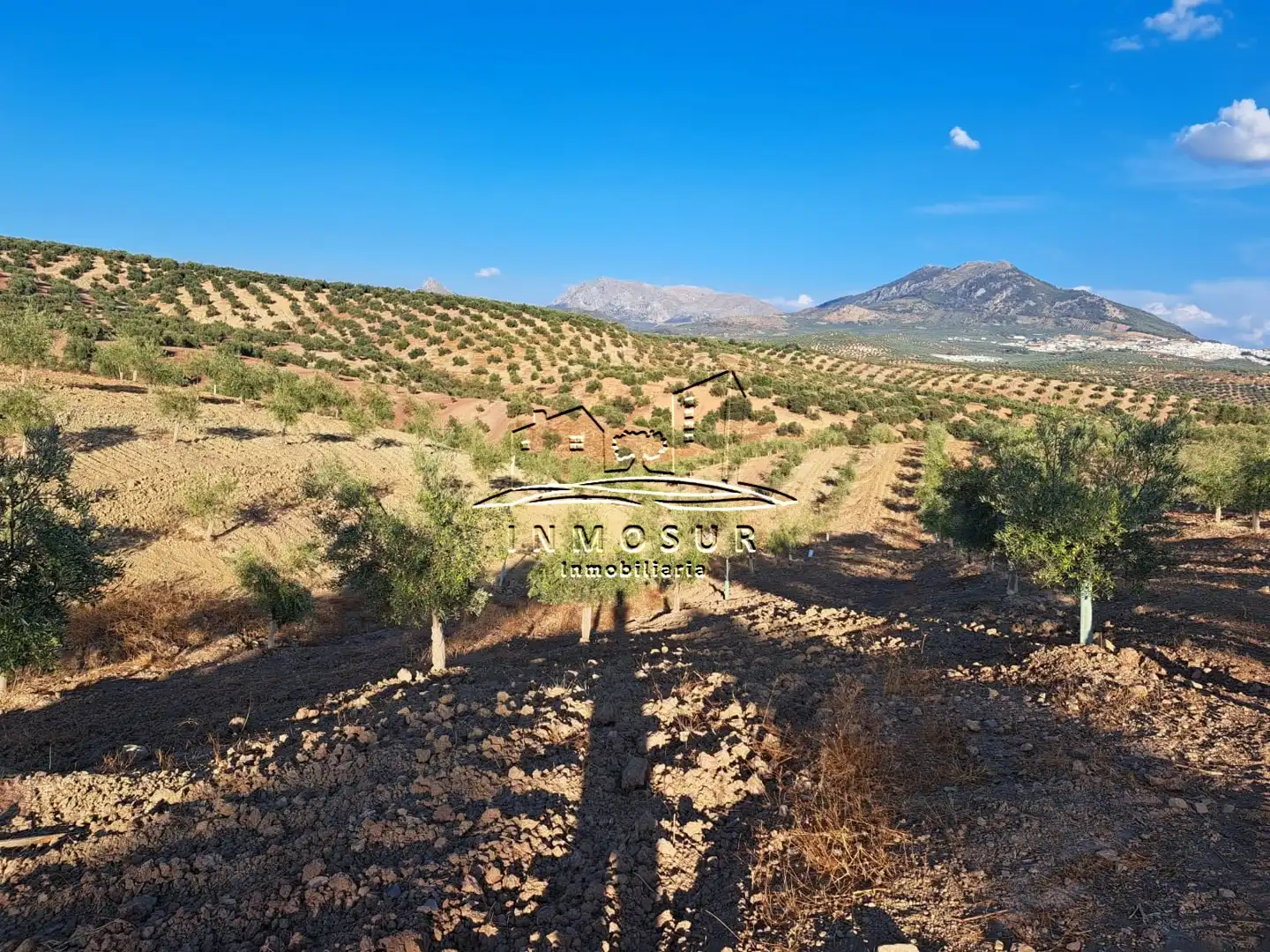 Terrain rustique à vendre à Las Vegas - Campoaras, imagen 11