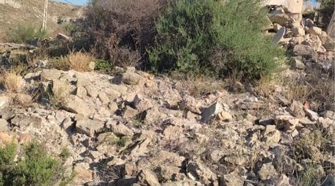 FINCA RUSTICA EN PARAJE SANTA MARIA DE NIEVA, immagine 3