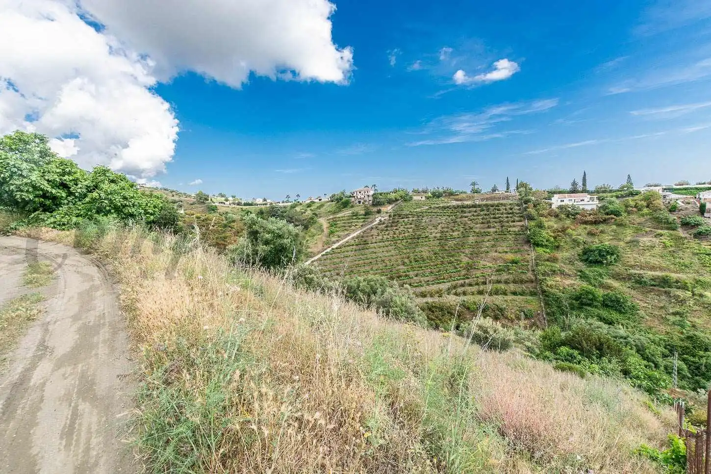 Terreno rústico en venta en Frigiliana, imagen 2