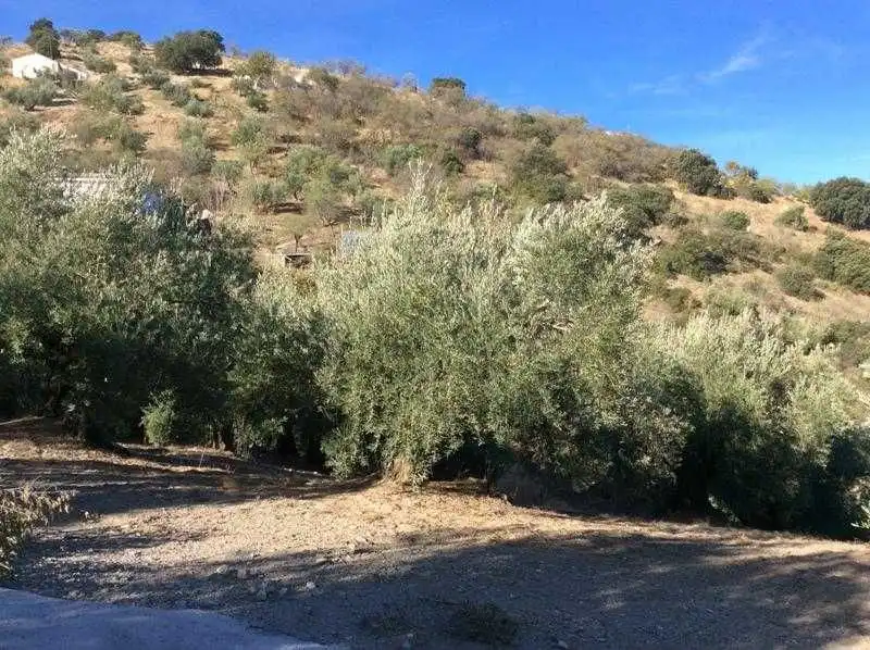 Terreni e lotti in vendita a Castillo de Locubín, imagen 18