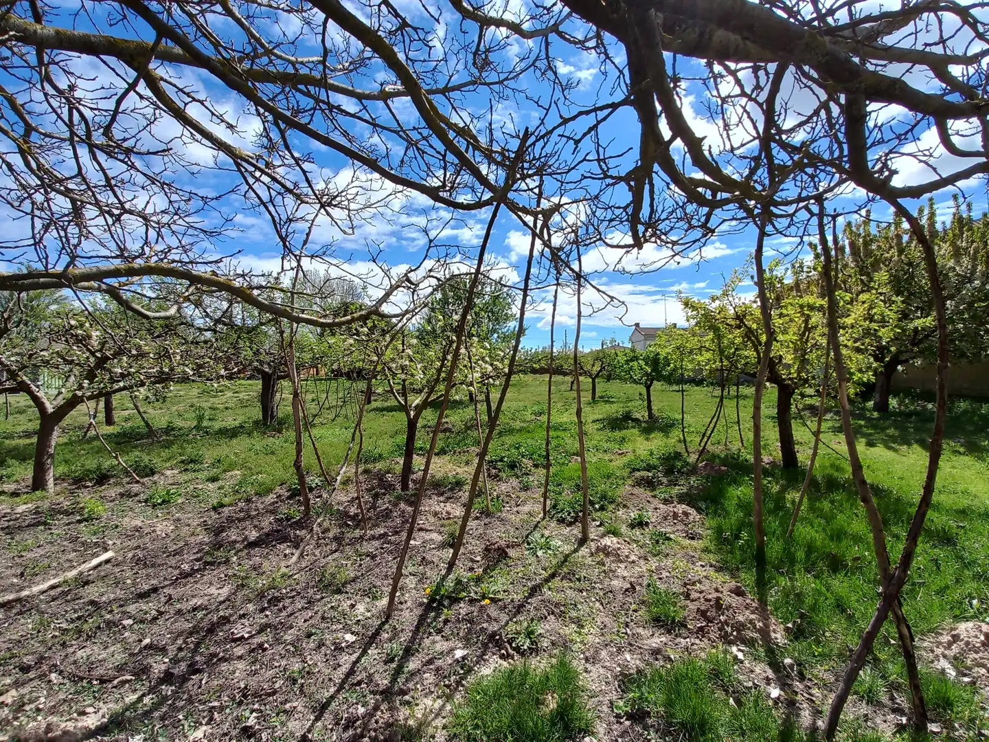 Finca rústica en venta en Cayuela con Jardín privado