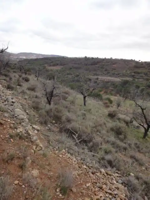 Terrenys i solars en venda a Paraje Vallota, imagen 8