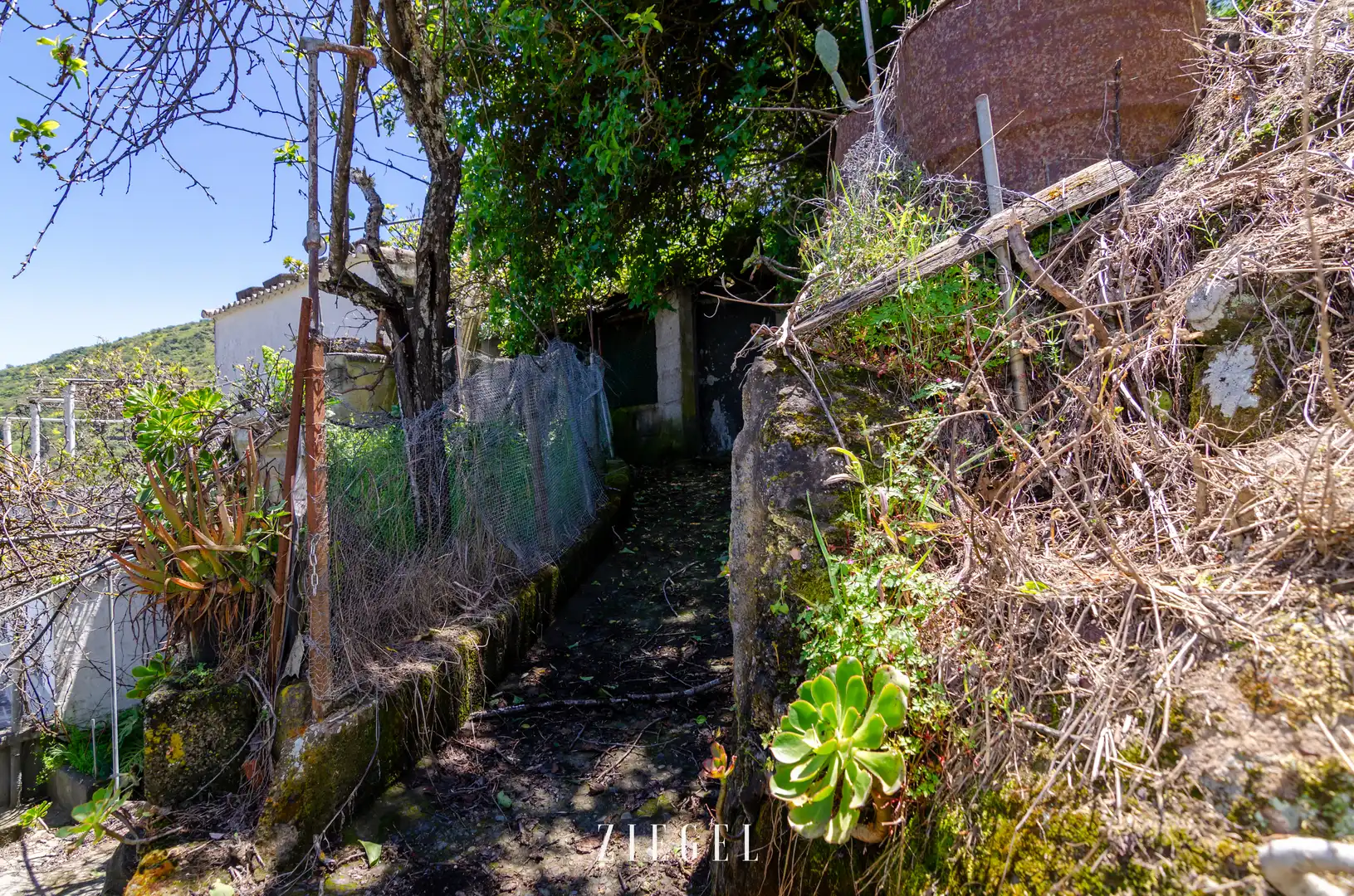 Exterior view of Houses for sale in Vega de San Mateo  with Private garden, Terrace and Storage room