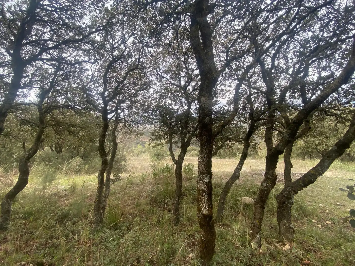 Terreni e lotti in vendita a Alcalá la Real, imagen 42