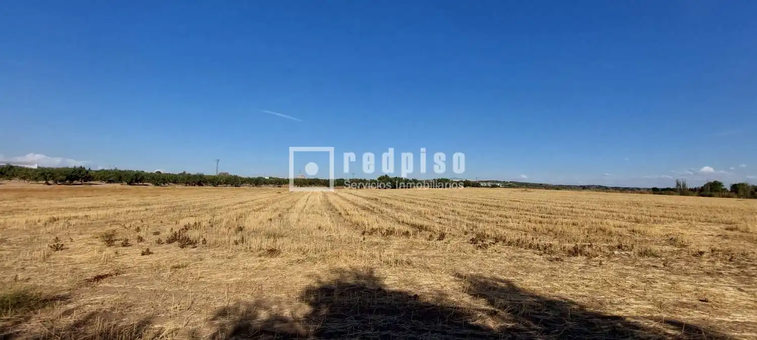 Terreny residencial en venda a Cebolla, imagen 2