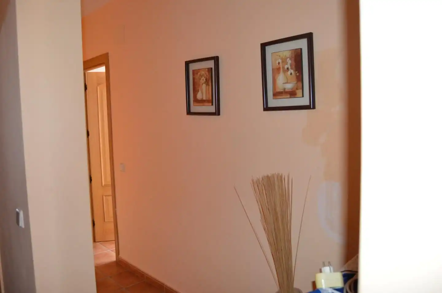 Detached homes for sale in Tribaldos