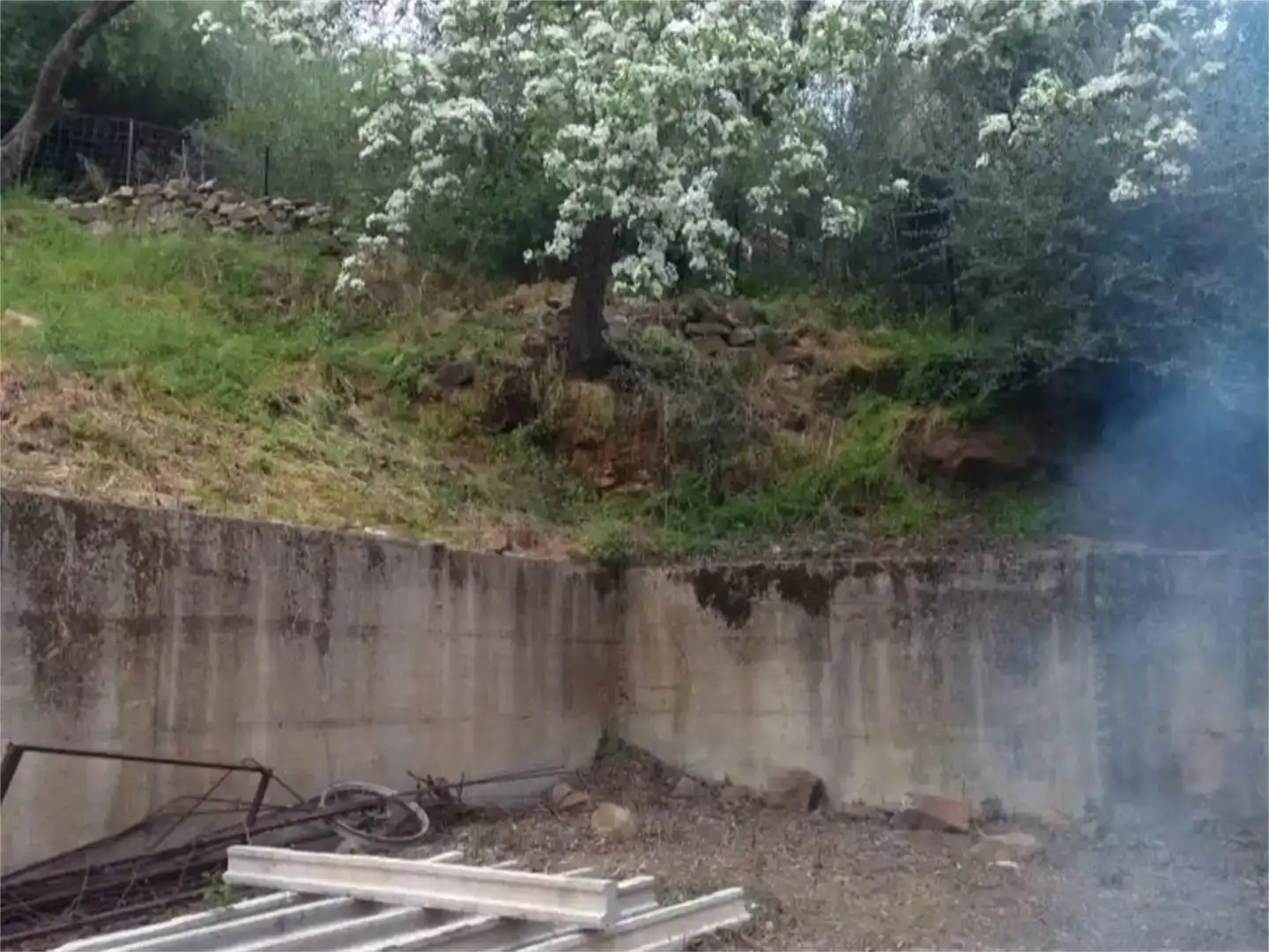 Vista exterior de Casa o xalet en venda en Cortes de la Frontera amb Jardí privat i Traster