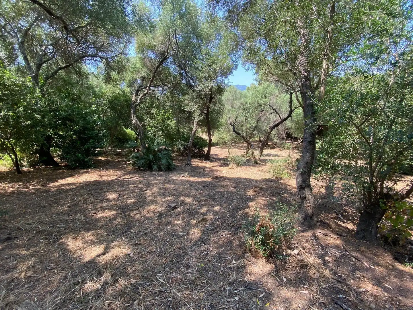 Casa o xalet en venda en Los Barrios amb Jardí privat, Terrassa i Traster