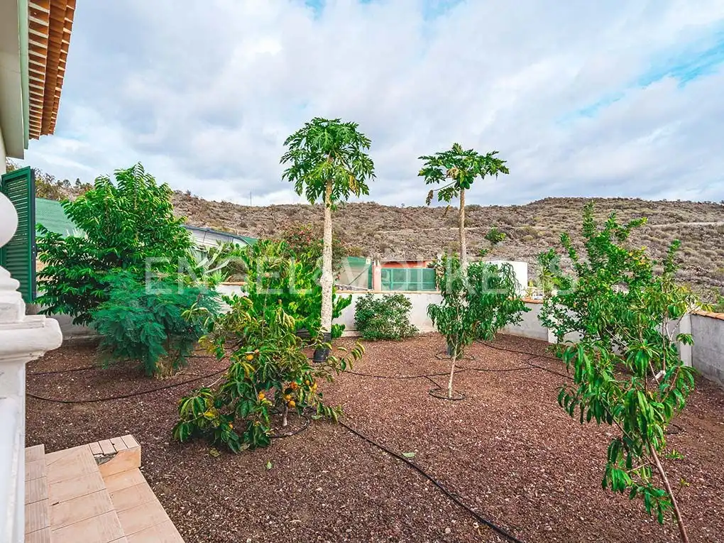 Maison avec piscine à vendre à Alcalá, imagen 37