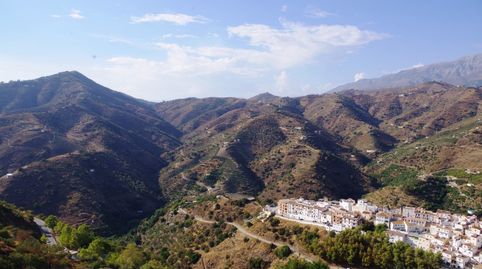 Foto 3 de Finca rústica en venta en Sayalonga, Málaga