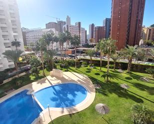 Swimming pool of Flat for sale in Benidorm  with Terrace