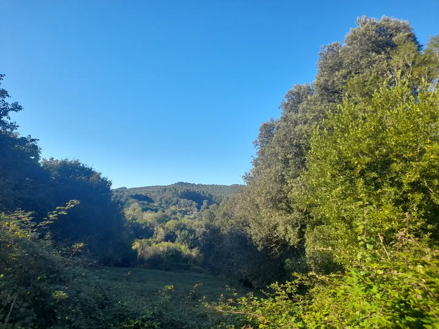 Terreny rústic en venda a Lemoiz, imagen 2