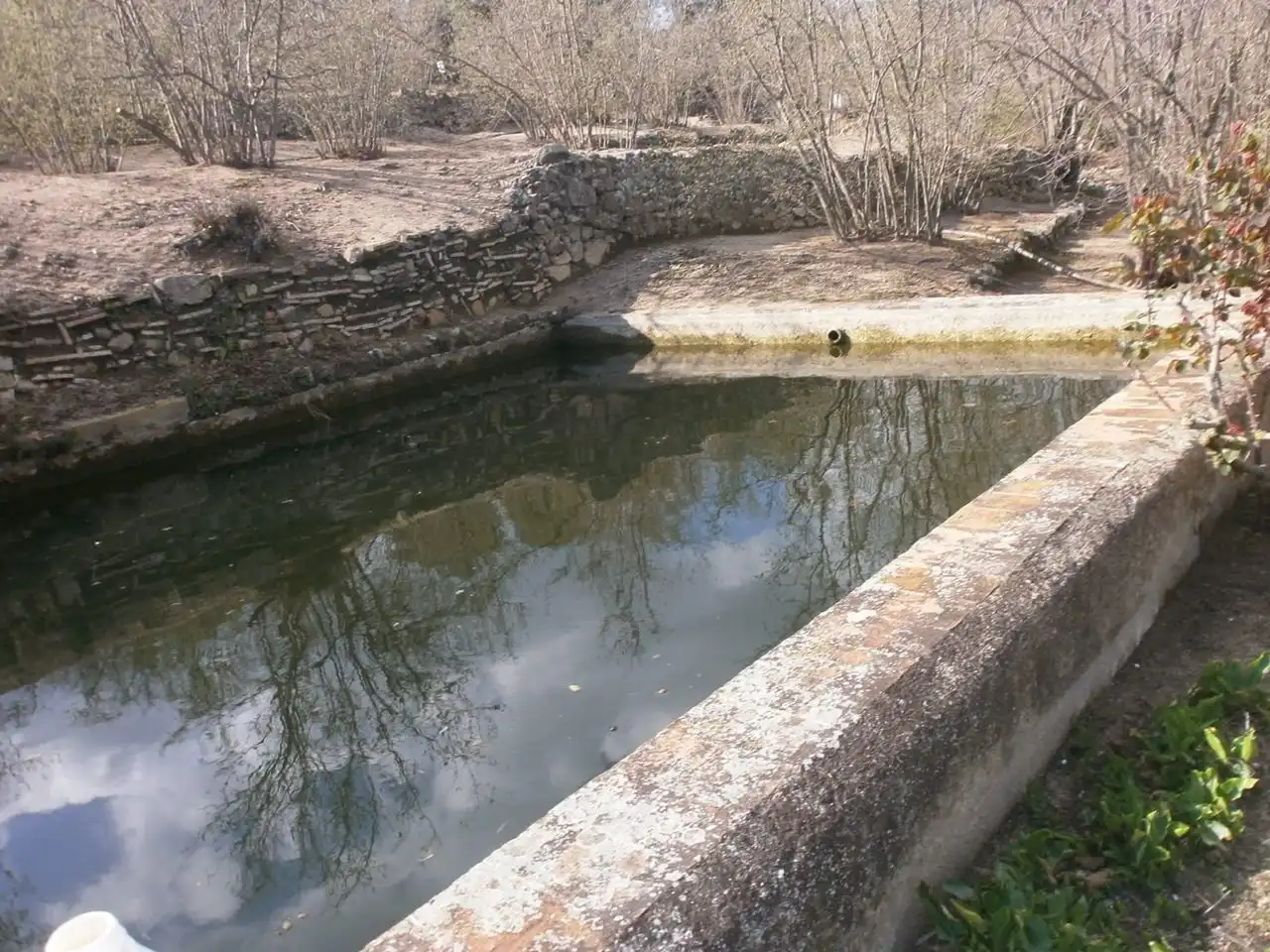 Swimming pool of Land for sale in Vilaplana, Tarragona