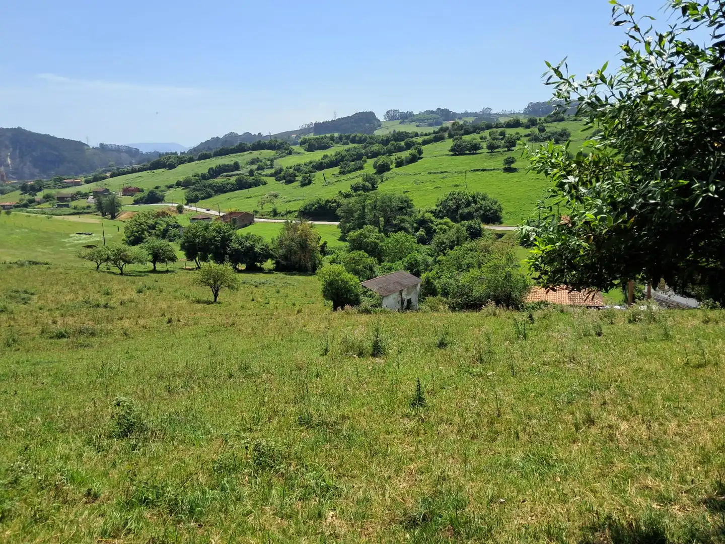 Residential for sale in Carreño