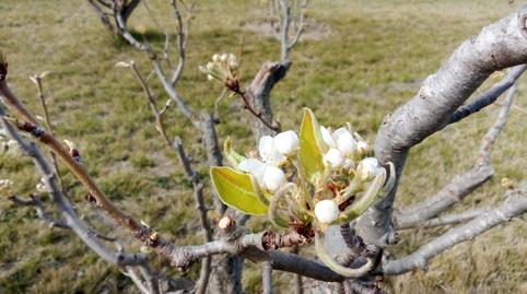 Foto 2 de Casa o chalet en venta en Pastriz, Zaragoza