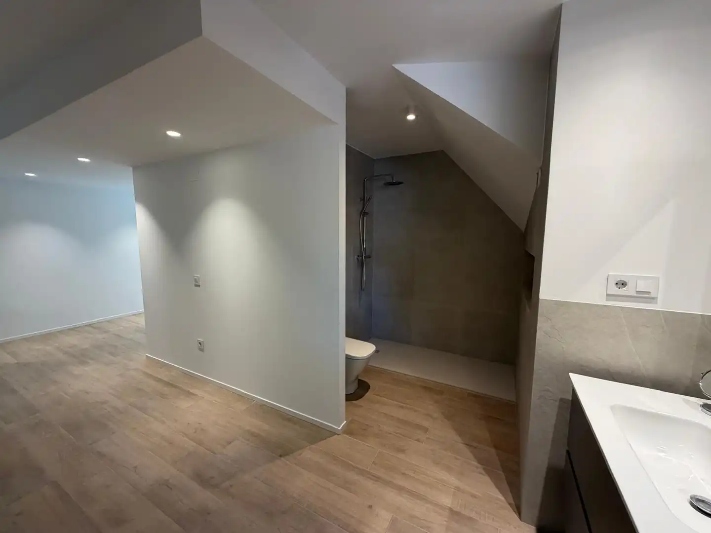 Duplexes for rent in RIU GÜELL, La Devesa
