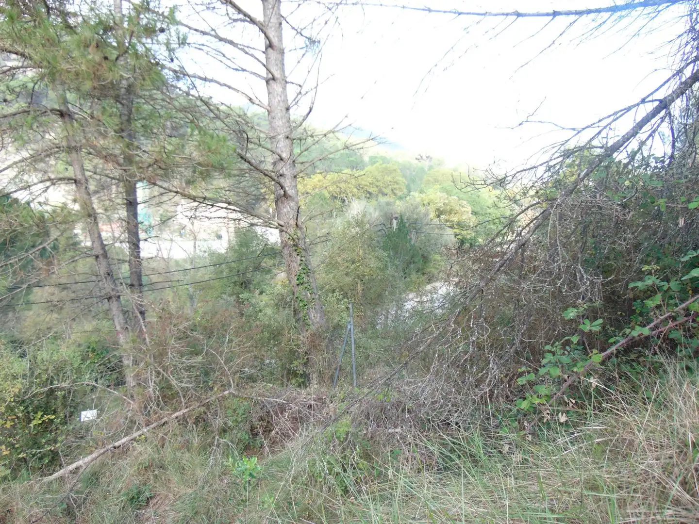 Terreny residencial en venda a obagá, imagen 11