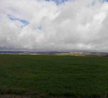 Terreno residencial en Venta en Palenzuela