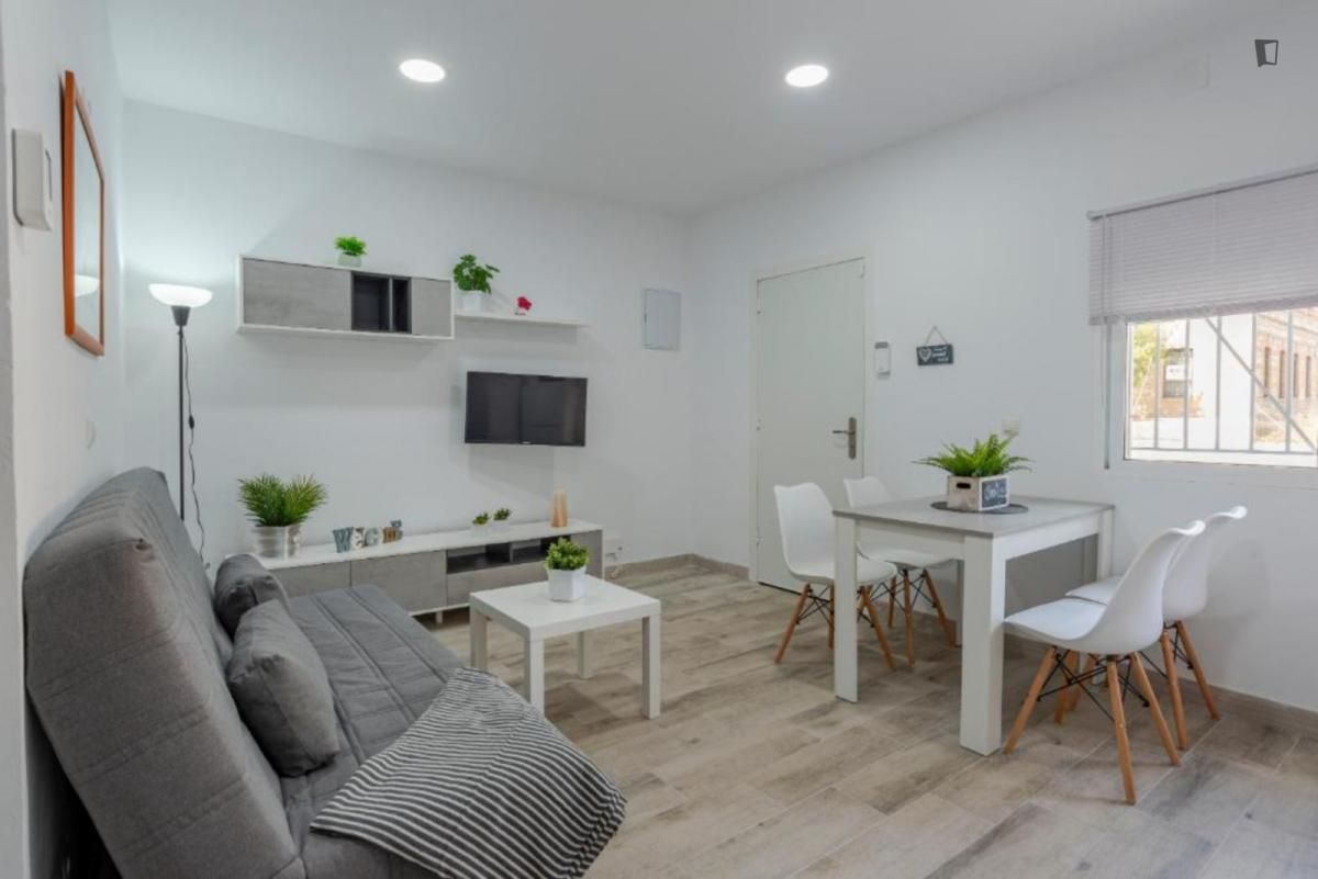 Sala d'estar de Apartament de lloguer en Málaga Capital amb Aire condicionat, Moblat i Forn