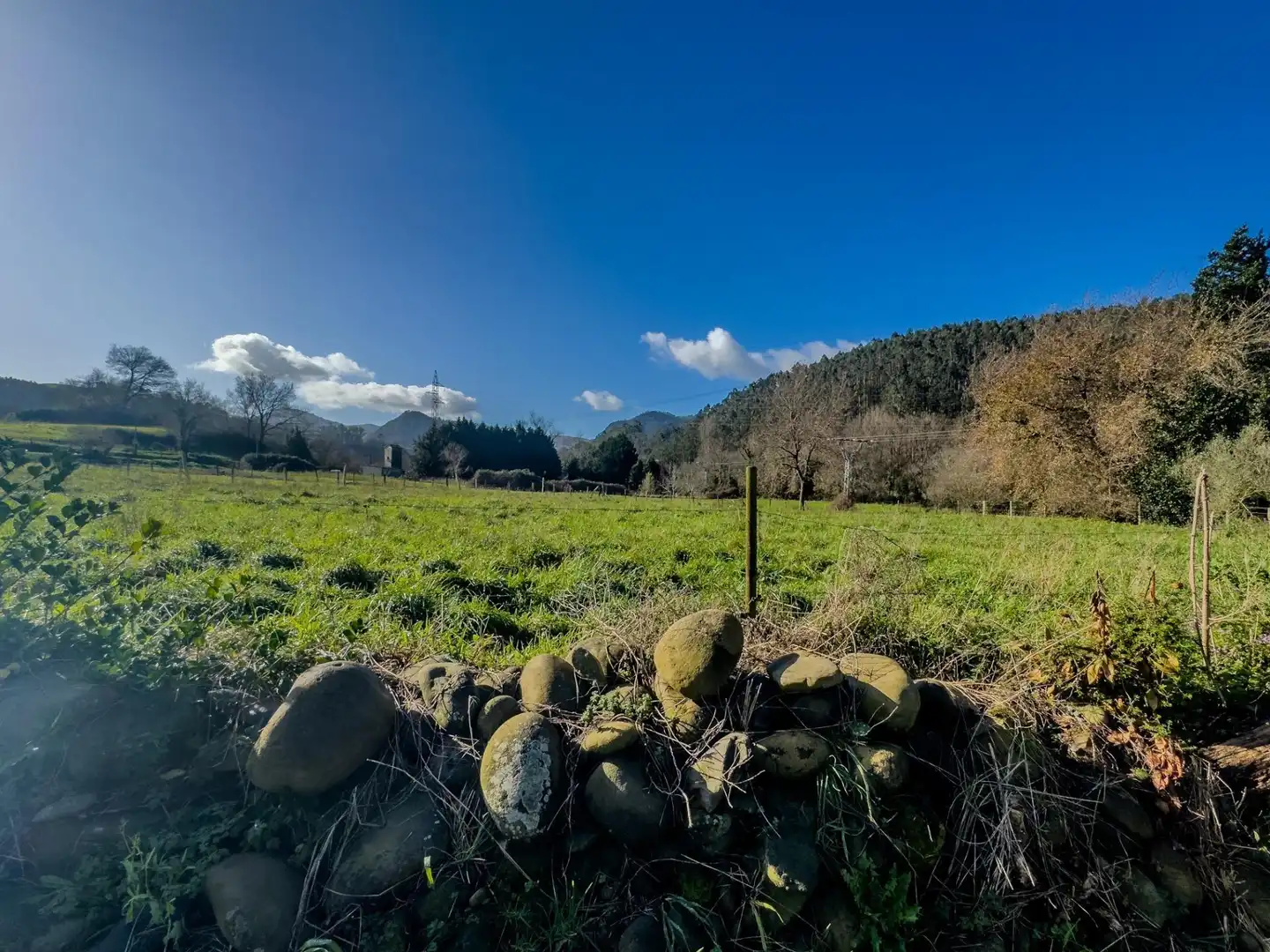 Land for sale in Castañeda