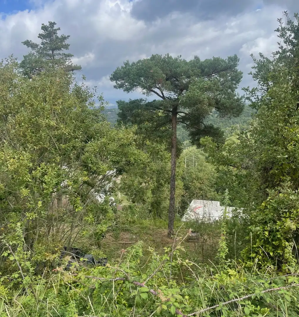 Residential land for sale in Muntanyola, imagen 12