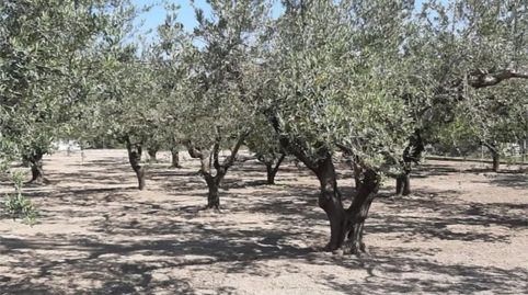 Photo 4 of Country homes for sale in Plaça Numero 16, 519, El Llombo, Ontinyent