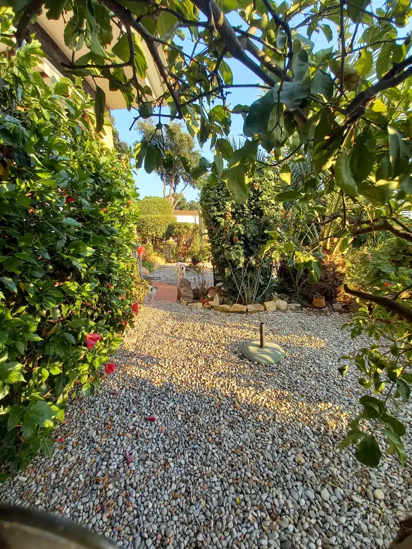 Jardí de Casa o xalet en venda en Sant Feliu de Guíxols amb Jardí privat, Piscina i Moblat