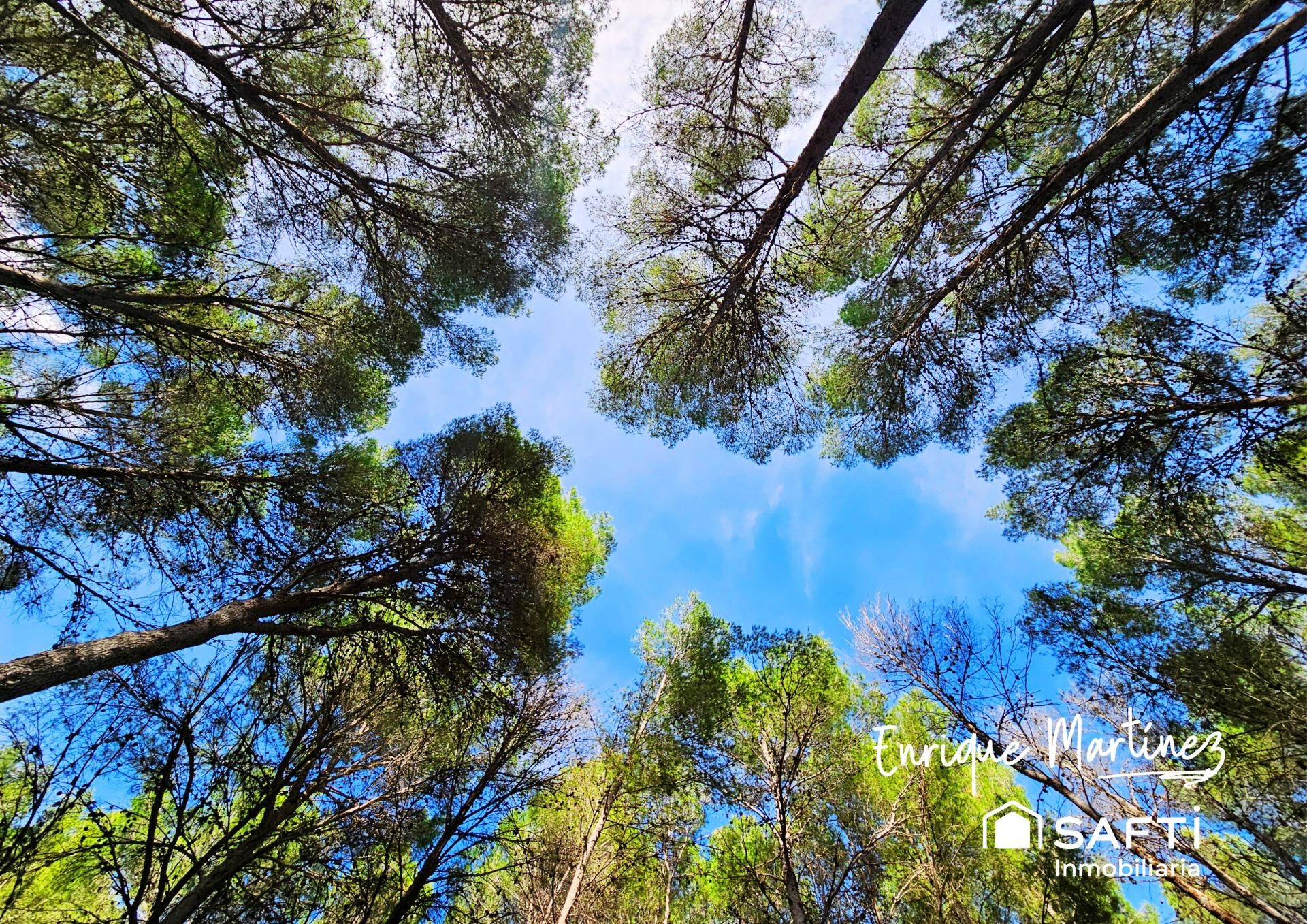 Vista exterior de Finca rústica en venda en Parcent amb Terrassa